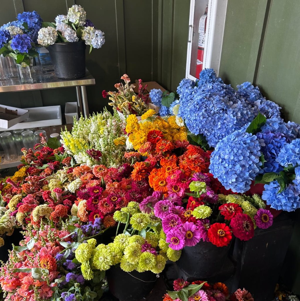 Weekly Field Update –&nbsp;6/9/25