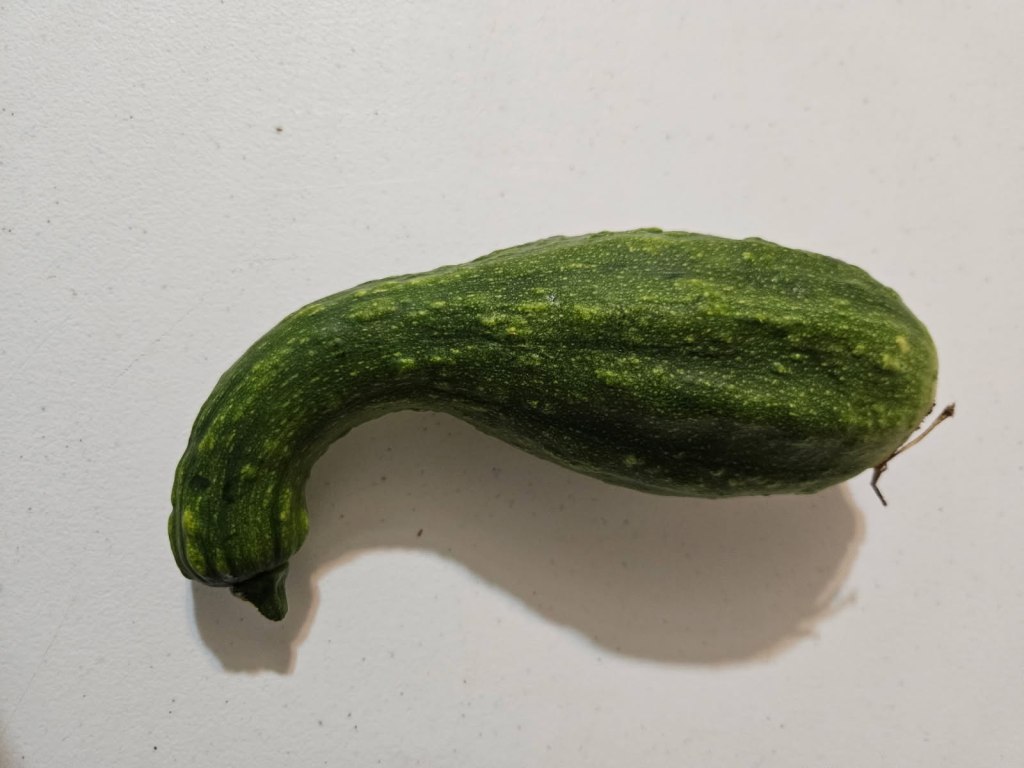 Question of the Week – Squash&nbsp;Virus