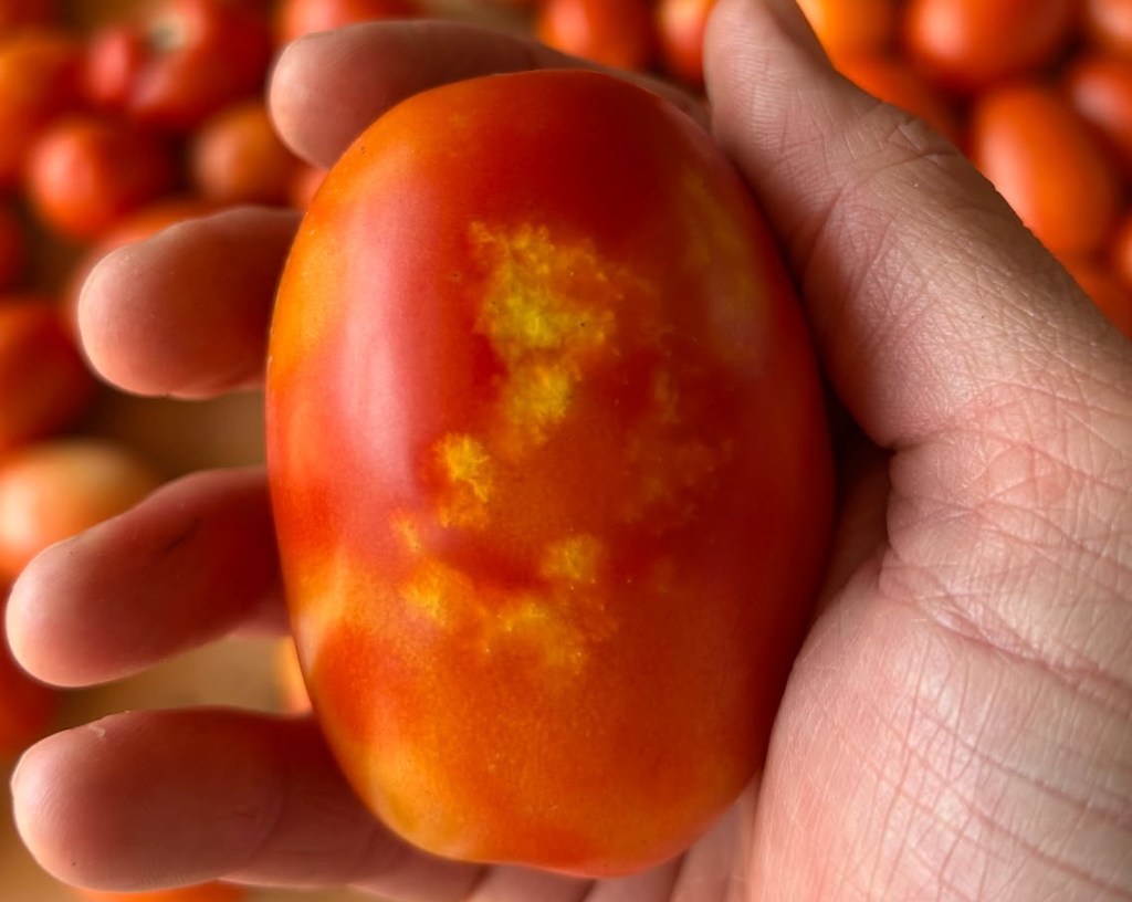 Weekly Field Update –&nbsp;7/14/25