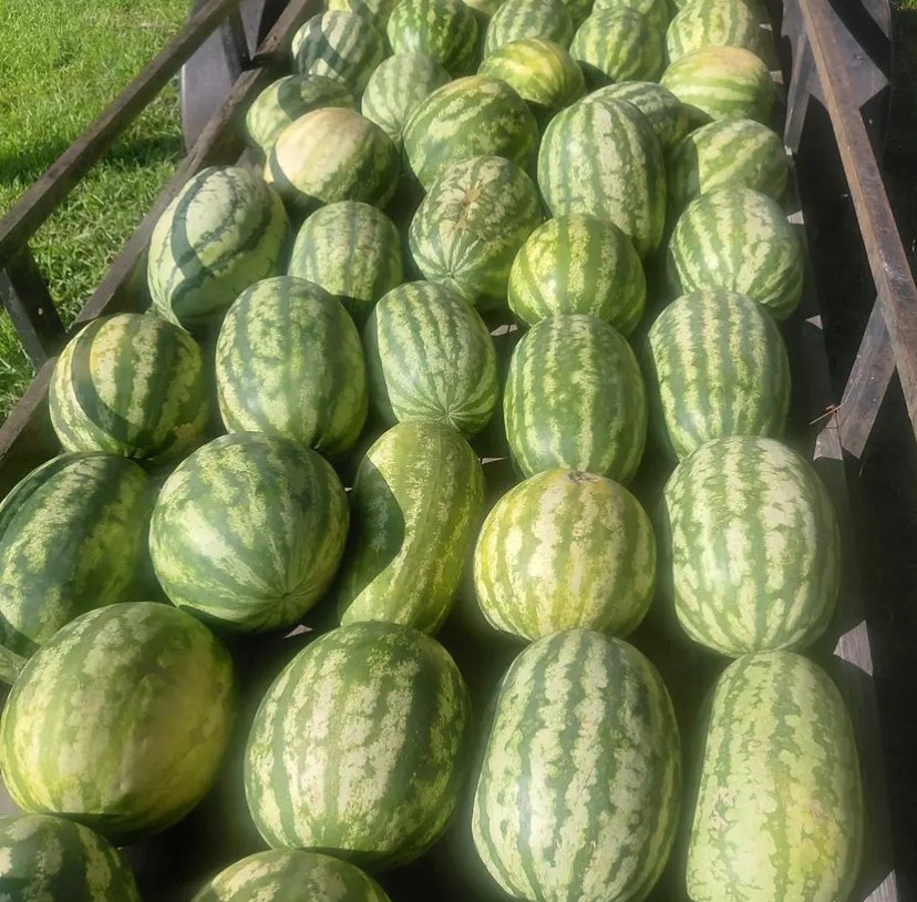 Weekly Field Update –&nbsp;7/21/25