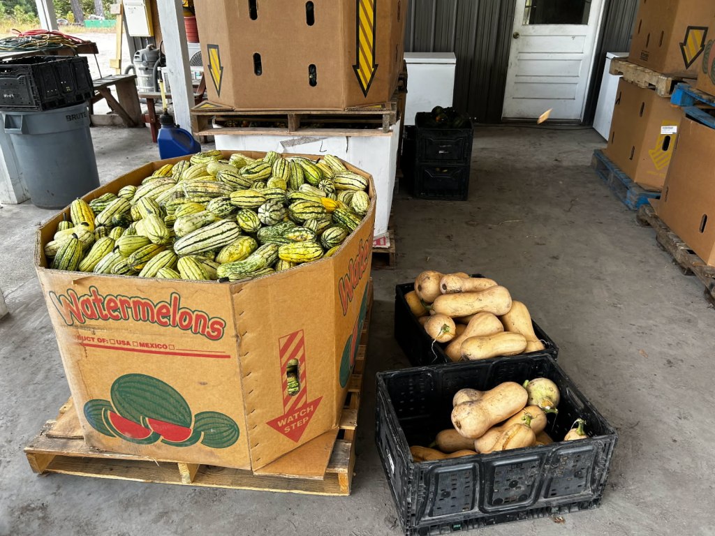 Weekly Field Update –&nbsp;9/15/25