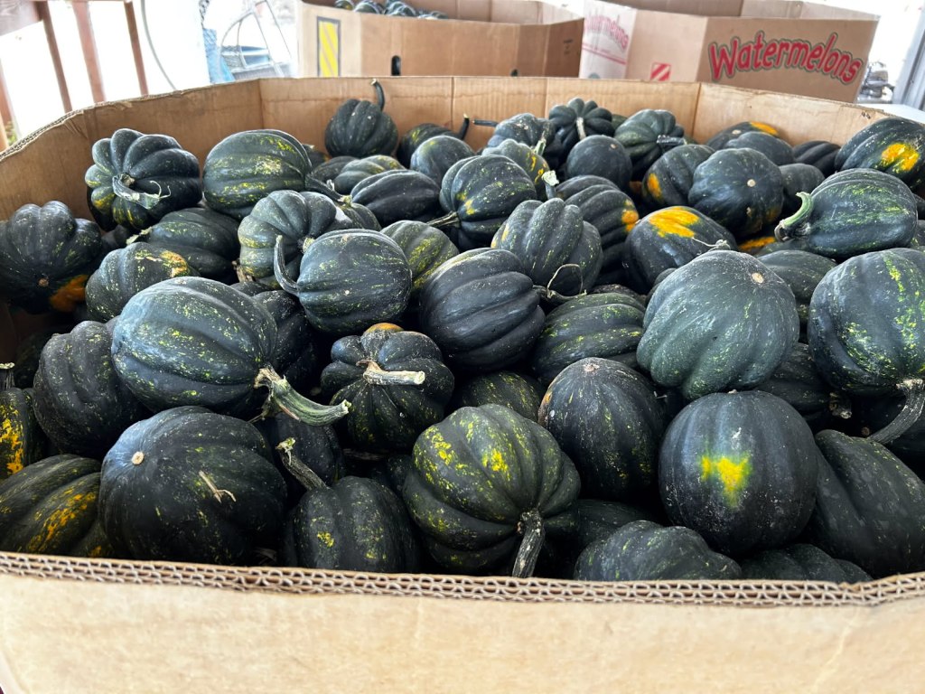 Weekly Field Update – 10/27/25