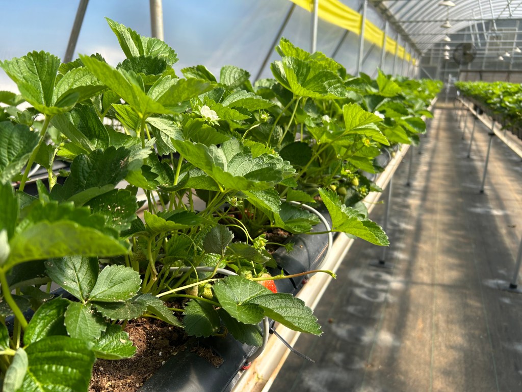 Weekly Field Update – 10/13/25