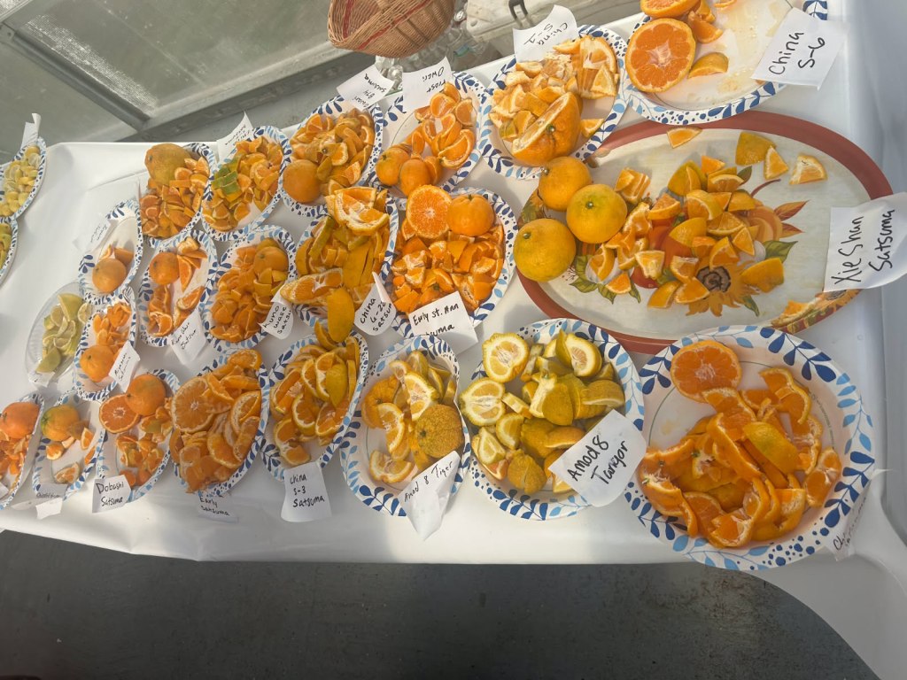 Weekly Field Update – 11/24/25