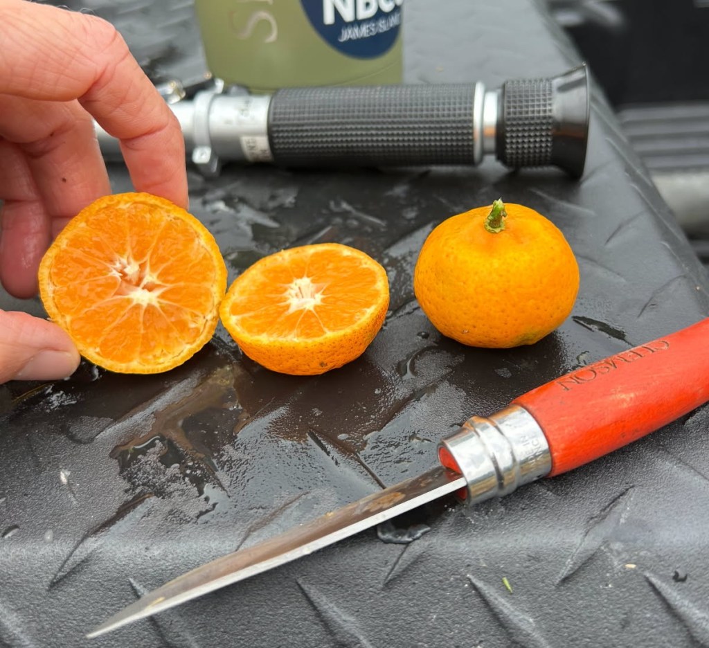 Weekly Field Update – 11/3/25