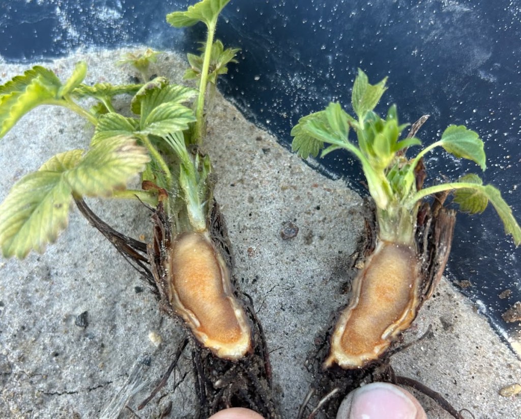 Considerations for Upcoming Winter&nbsp;Weather