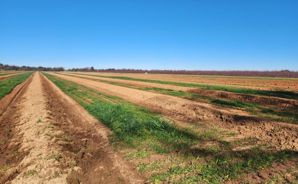 Weekly Field Update –&nbsp;2/9/26