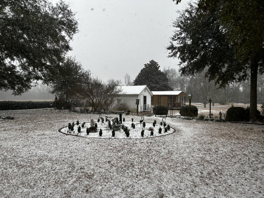 Weekly Field Update – 2/3/26